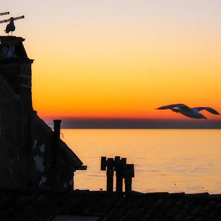 Bella Sea View アパート *